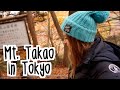 Amazing Autumn View at Mt. Takao in Tokyo 高尾山の紅葉