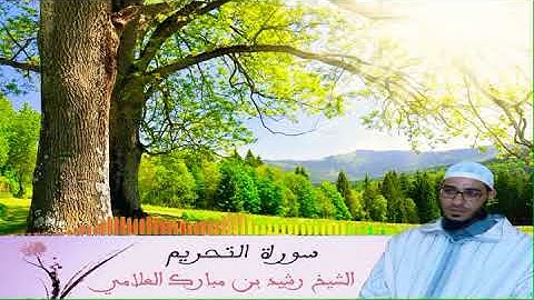 تلاوة رائعة جدا 💙     سورة التحريم