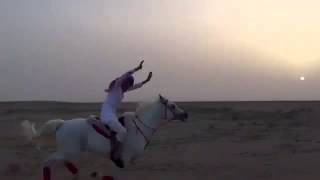                                     ركوب خيل رائع    هاض هاجوس المولع على حزة عصير سمعها