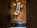 A big black sesame unagi sushi roll