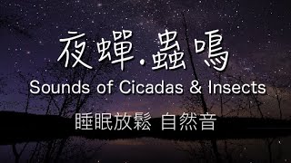 【夜蟬.蟲鳴】無音樂6小時｜睡眠｜放鬆｜舒緩｜平靜｜哄小孩入睡｜療癒｜放空｜消除雜念｜冥想｜自然環境｜Sound of Cicadas & Insects, Relaxing, Meditation