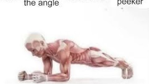 CS2 Animation Update