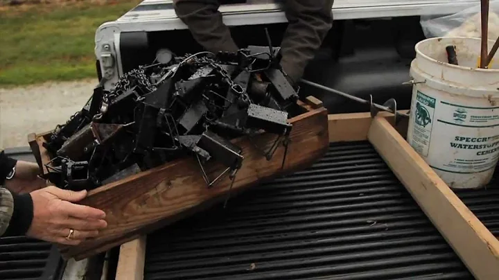 Trapping Coyotes -Taking Care of Business - The Ma...