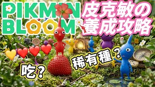 【Pikmin Bloom 教學】別再誤刪稀有款！皮克敏背景顏色隱藏邏輯、放生策略與四葉草辨識術🍀大公開 📦