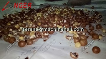 Macadamia Nut Shelling Machine|Macadamia Sheller Machine|Macadamia Shell Cracker