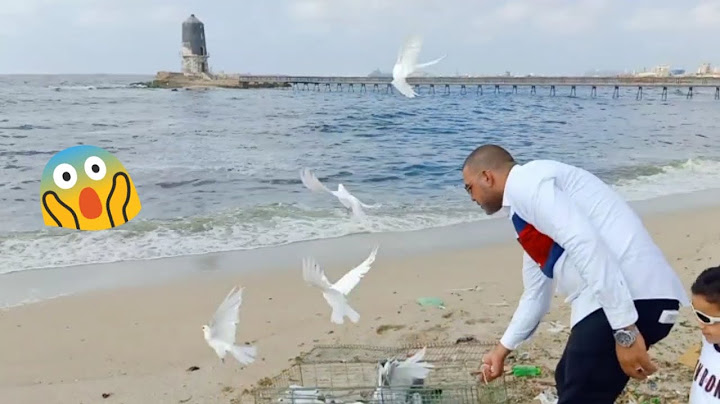 اول واكبر مغامره مع الزغاليل .تعالوا نشوف حصل ايه معانا