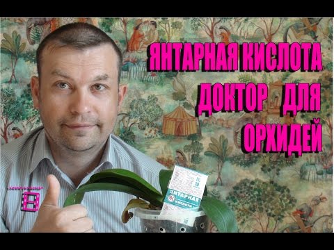 Video: Dzintarskābe Istabas Augiem, Ieskaitot Orhidejas: Kā To Pareizi Lietot