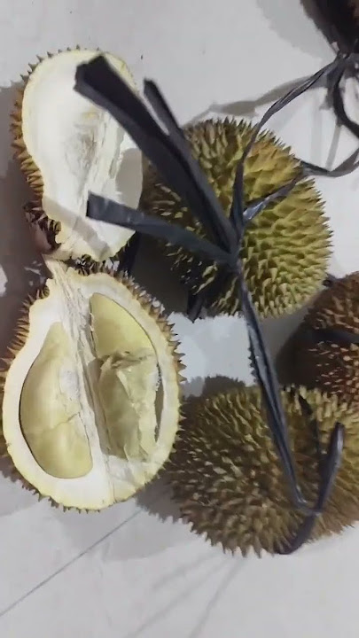 Malam malam makan durian 🤤🤣