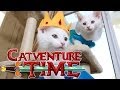 Adventure Time (Cute Kitten Edition)