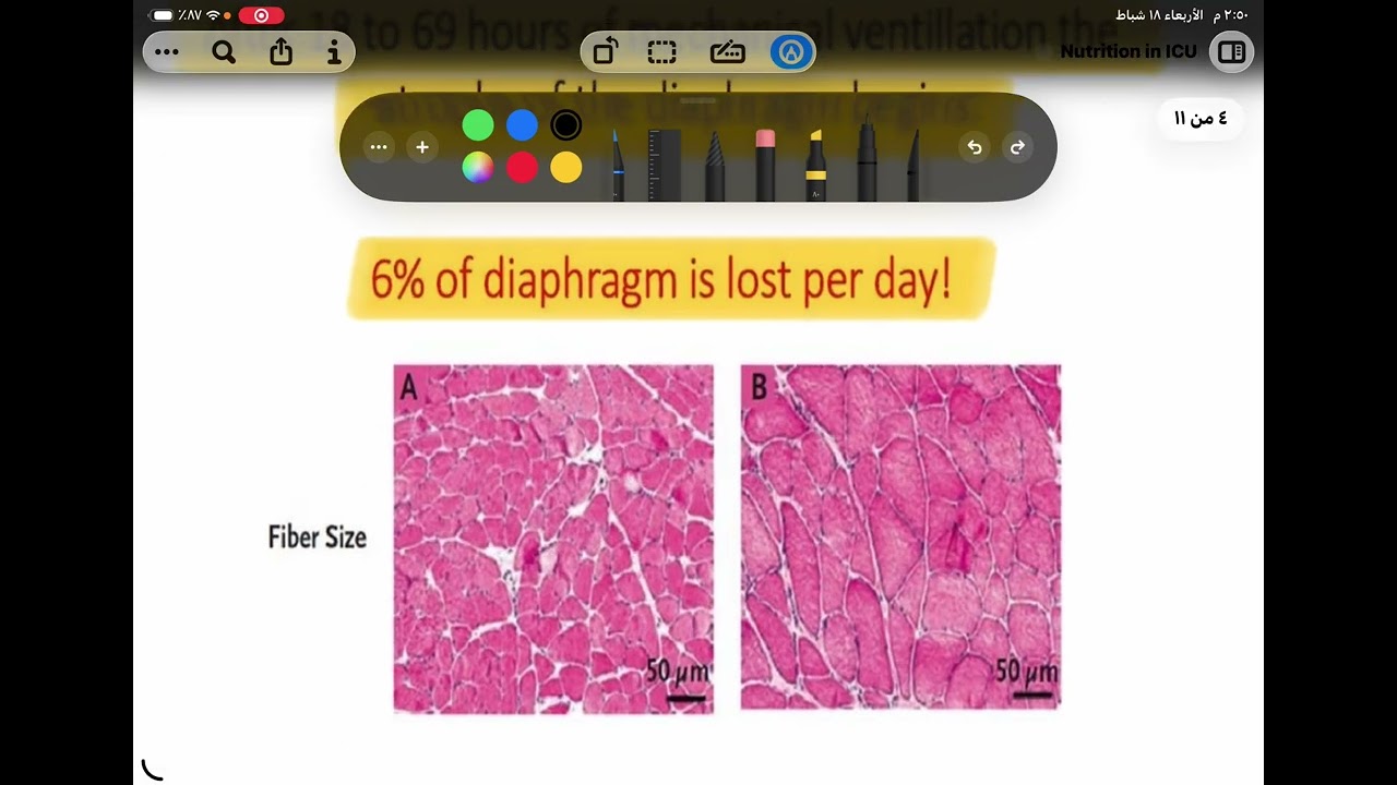 العناية المحاضرة الرابعة الجزء الأول 