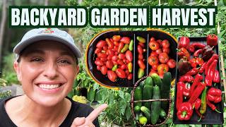 Left My Garden During a Heat Wave and This is What Happened!!