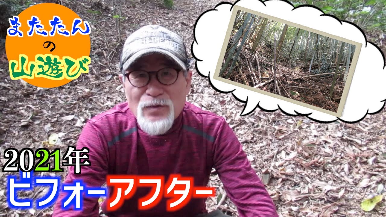 【2021年総集編】山購入後…今年１年の変化をまとめてみました