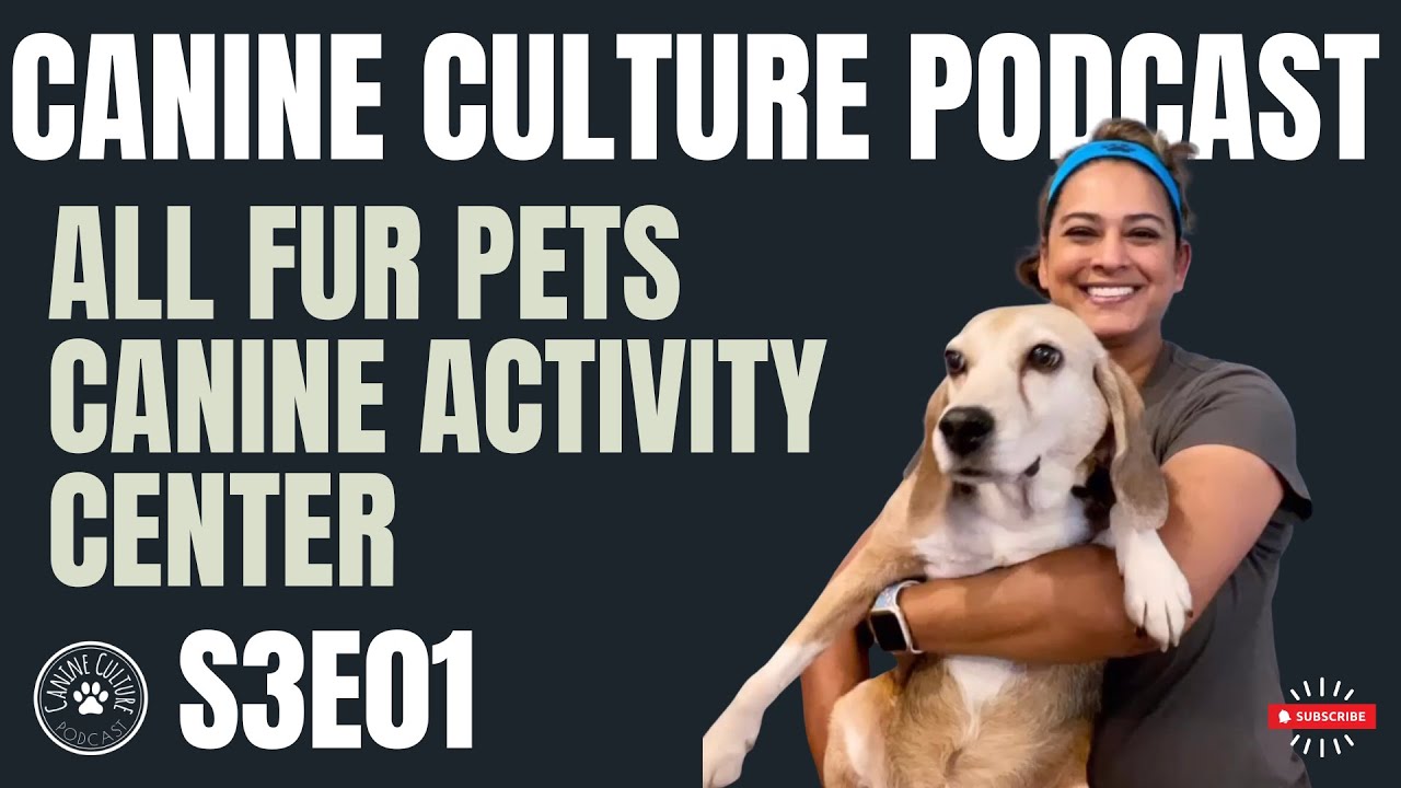 All Fur Pets Canine Activity Center S3E01 YouTube
