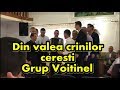 Din valea crinilor cerești ~ grup Voitinel