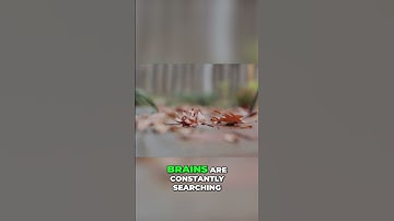 Pareidolia: Why We See Faces in Everyday Objects