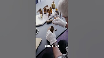 They Can Now Delete Your Memories 👀