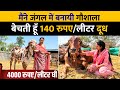 Jharkhand      gir cow farm   140    4000   ranchi 