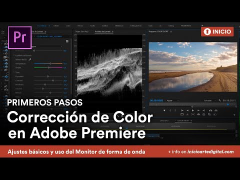 Video: ¿Cómo muestro formas de onda en Premiere Pro cs6?