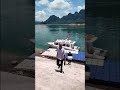 Cây bàng lá đỏ lá xanh | Gã Đầu Bạc - Vua Tùng