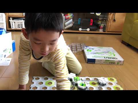 スタートとゴールが同じ高さ（GRAVITRAX）