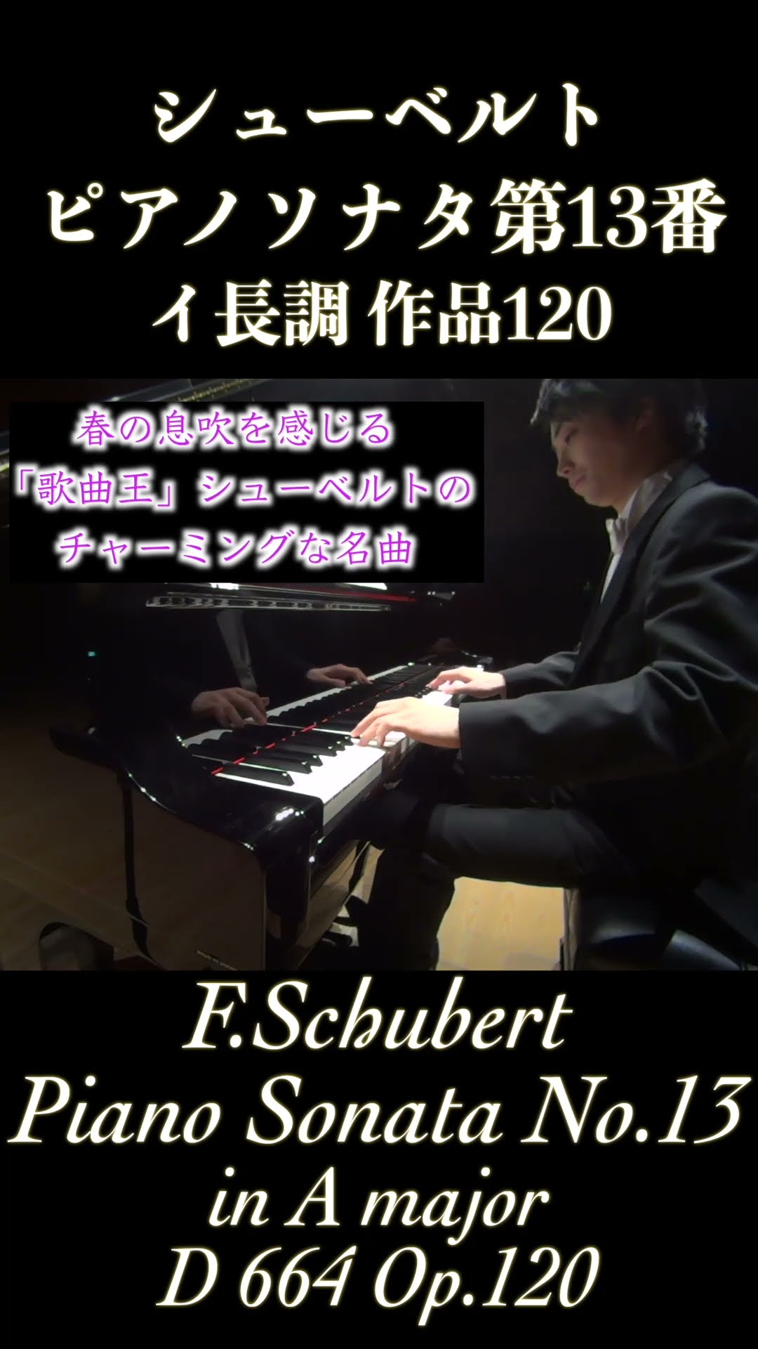 ザ・ピアノ THE PIANO 作曲家による自作・他作名演奏集 CD18枚 CD