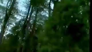 Suka cita sopir sinabung jaya