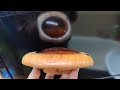Летающая тарелочка из эвкалипта