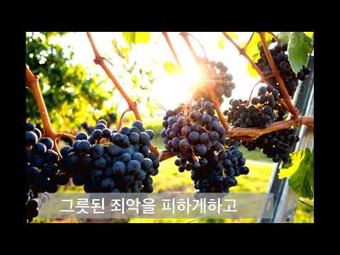 영상썸네일