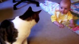 кот и малыш
