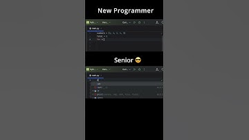 New Programmer vs  Senior 🤯🐍