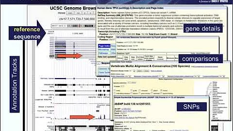 OpenHelix Introduction to the UCSC Genome Browser, Webinar Preview