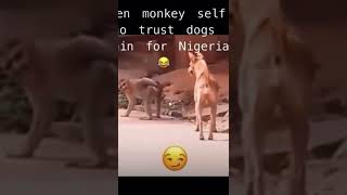 Dogs Are Now Unstoppable