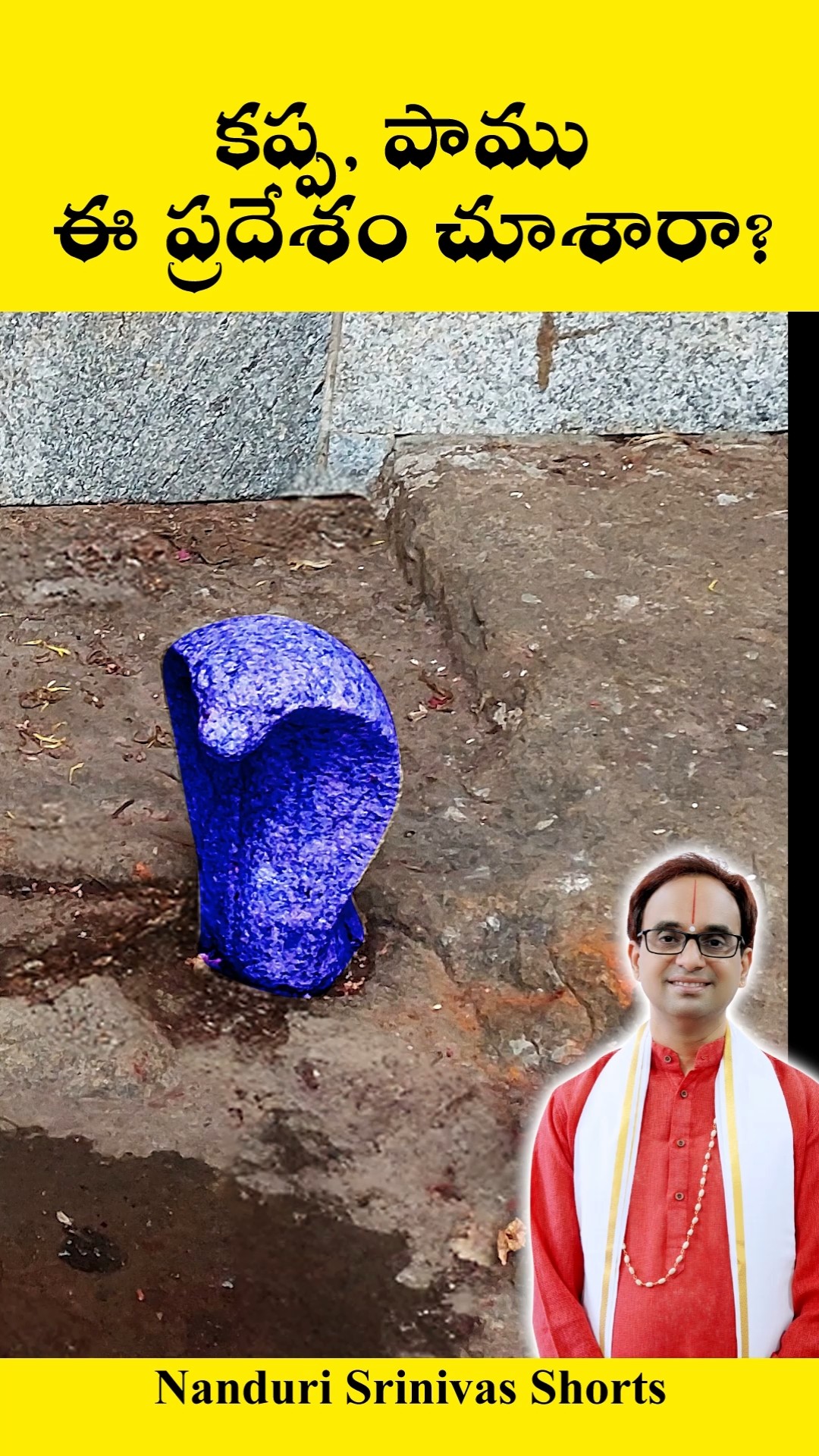 ఏమిటీ చిత్రమైన పామూ కప్పా? | Kappa Shankara temple | Nanduri Srinivas
