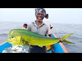 LINE FISHING - MAHI MAHI FISHES CAUGHT IN THE SEA