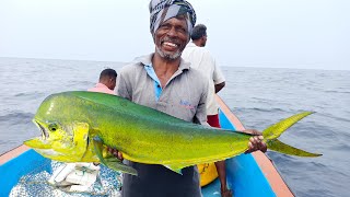 LINE FISHING - MAHI MAHI FISHES CAUGHT IN THE SEA screenshot 4