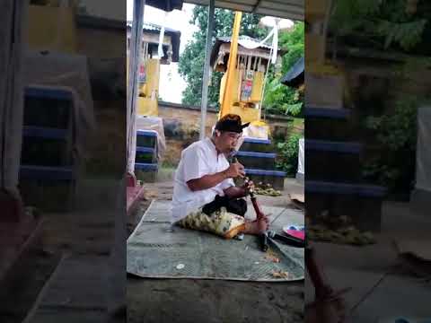 .pereret sasak lombok negh tarkak awang madia