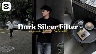 Aesthetic CapCut filter || Latest dark silver CapCut filter