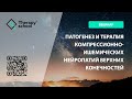 Патогенез и терапия компрессионно-ишемических нейропатий верхних конечностей