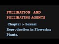 Pollination And Pollinating agents Ch-Sexual Reproduction in Flowering Plants Class 12 NCERT(1.6)