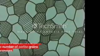 Celebrity Properties and Grain Structure Wealth