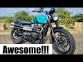 Triumph Scrambler 900: Your Top Questions ANSWERED!