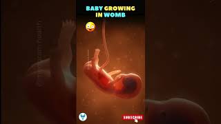 Growth of the baby in the womb ❤️? Fetal development week by week trending fertility pregnancy