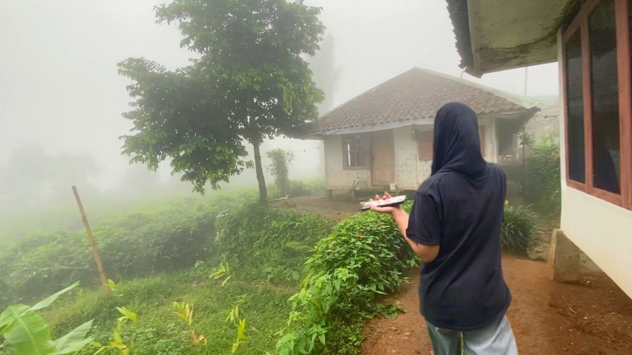 MASYA ALLAH TAK DI SANGKA, KABUT TURUN DI KAMPUNG INDAH, BIKIN BETAH KEHIDUPAN DESA DI JAWA BARAT