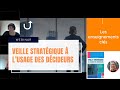 Webinar  veille stratgique  lusage des dcideurs avec mariechristine chalussauvannet