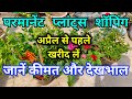 अप्रैल से पहले इनको खरीद लें / पर्मनन्ट प्लांट्स शॉपिंग / PERMANENT PLANTS / March Plants Shopping