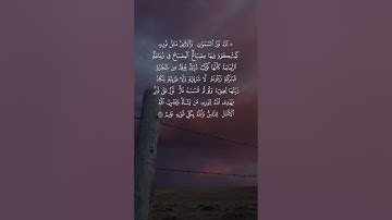 القارئ عبدالله الموسى -  ( الله نور السماوات والأرض ) | مقاطع قرآن قصيرة وحالات واتس إسلامية 🌱