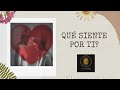 Qué siente por ti? 💓🔮 TAROT INTERACTIVO