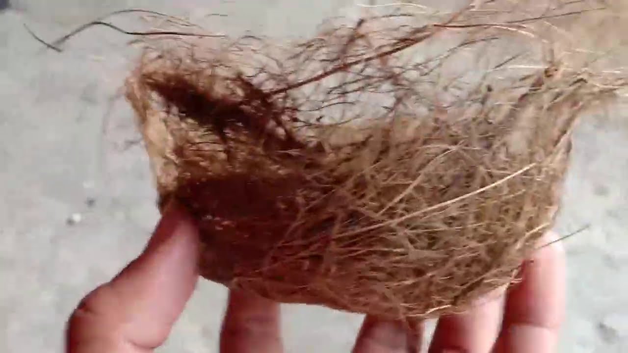 Coco Fiber Pot Making First Try