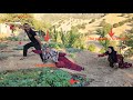 The husband prevented the second wife from picking vegetables from the first wife's garden...