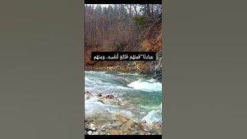 سورة فاطر # الآية ٣٢/٣٣ #قران كريم #تدبر #قراءة# تجويد # طمأنينة_القلب #شارك الأجر #قرآن